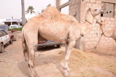 23899304_443633549366047_1870300634_n