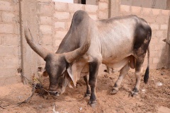 23899346_443633432699392_1414165269_n