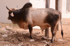 23897884_443633382699397_394330456_n