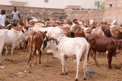 23899334_443633372699398_1092955467_n