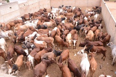 23899120_443633319366070_1259213237_n