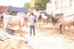 23899348_443632929366109_925965783_n