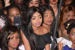 26235399_458592861203449_617350655_n