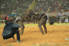 27479520_469664480096287_122868502_o