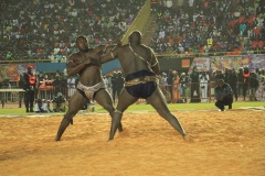 27484741_469665210096214_1496624452_o