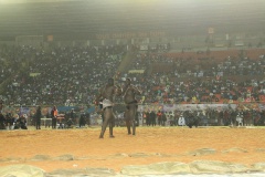 27484959_469664393429629_716905697_o