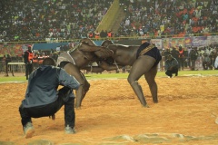 27485192_469664710096264_1376546831_o