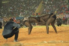 27535124_469664280096307_2094967854_o