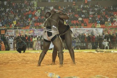 27535418_469664456762956_1734339863_o