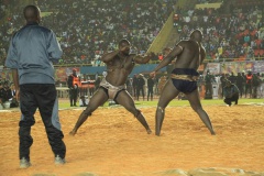 27535755_469665170096218_934404628_o