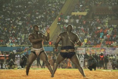 27536806_469665070096228_588674798_o