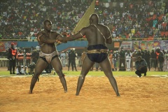 27537570_469664663429602_747237219_o