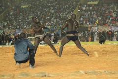 27604209_469664823429586_1486306722_o