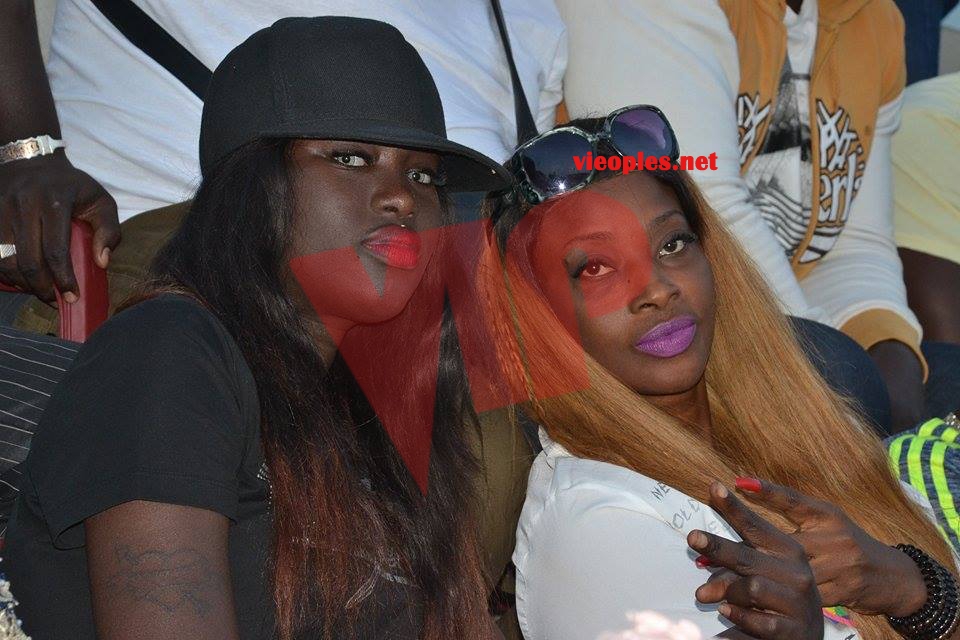 17814041_346900612372675_366516475_n