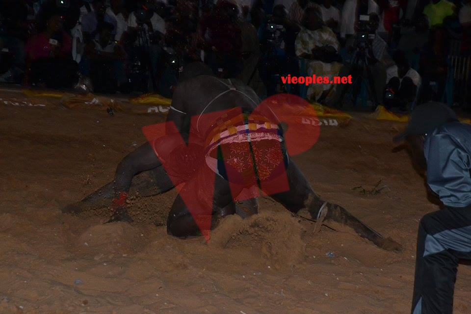 17813876_346899839039419_1618851105_n