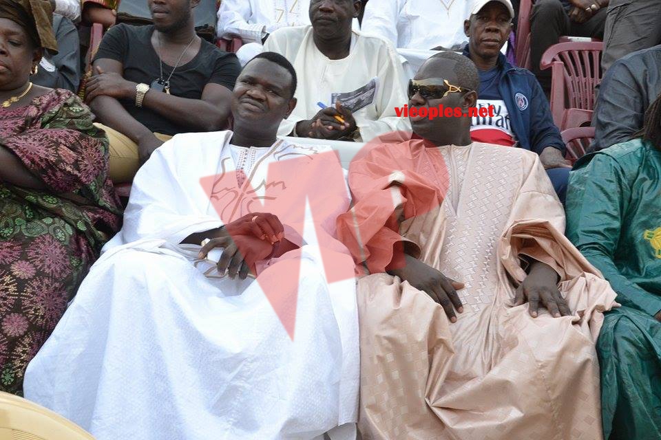 17806961_346902185705851_1277193392_n