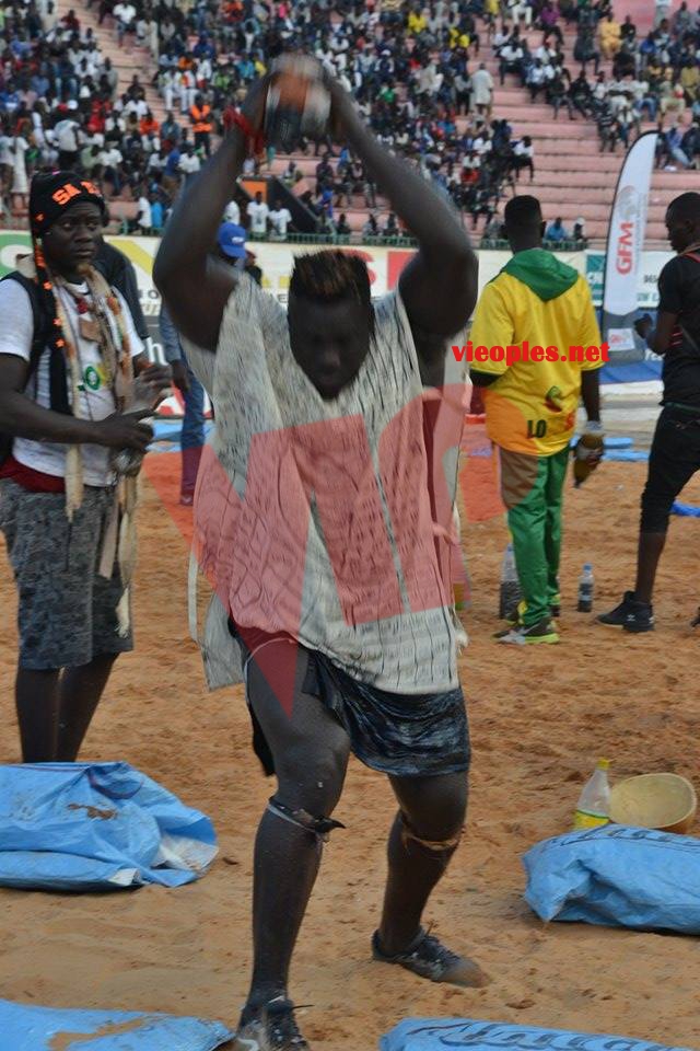 17888105_349496582113078_1015475251_n