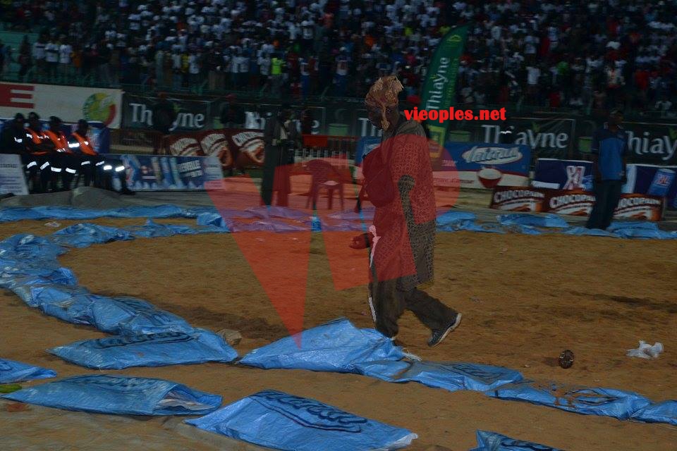 17888631_349496208779782_853311554_n