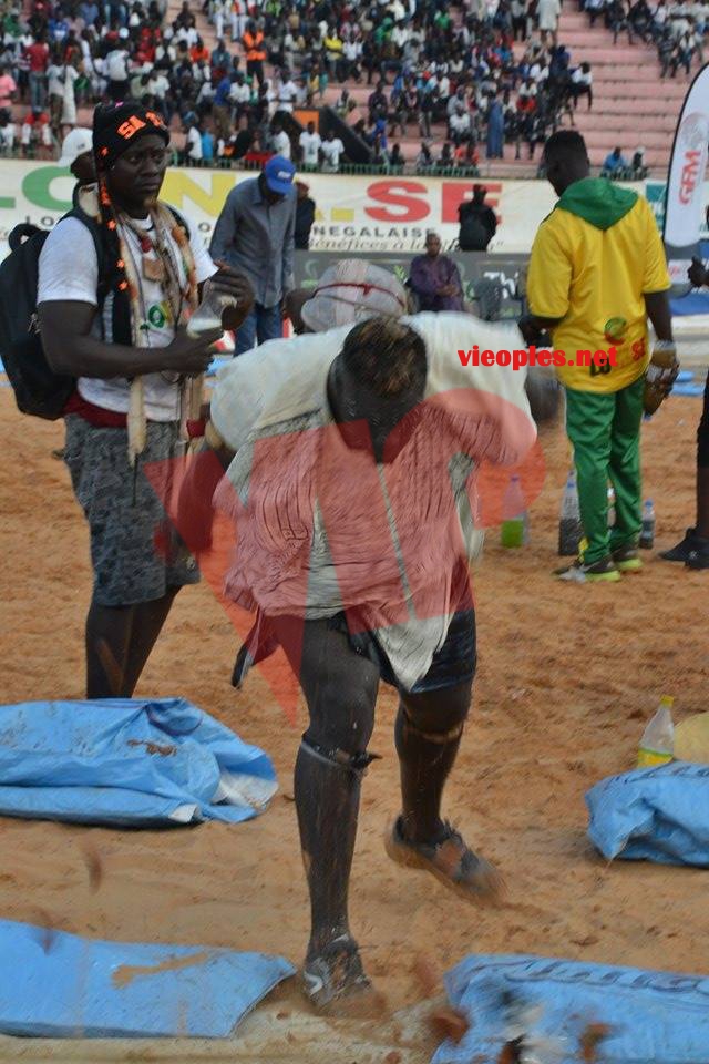 17888667_349496668779736_503777847_n