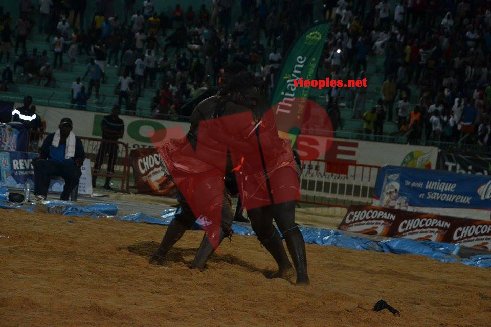 17857967_349490098780393_1212736535_n