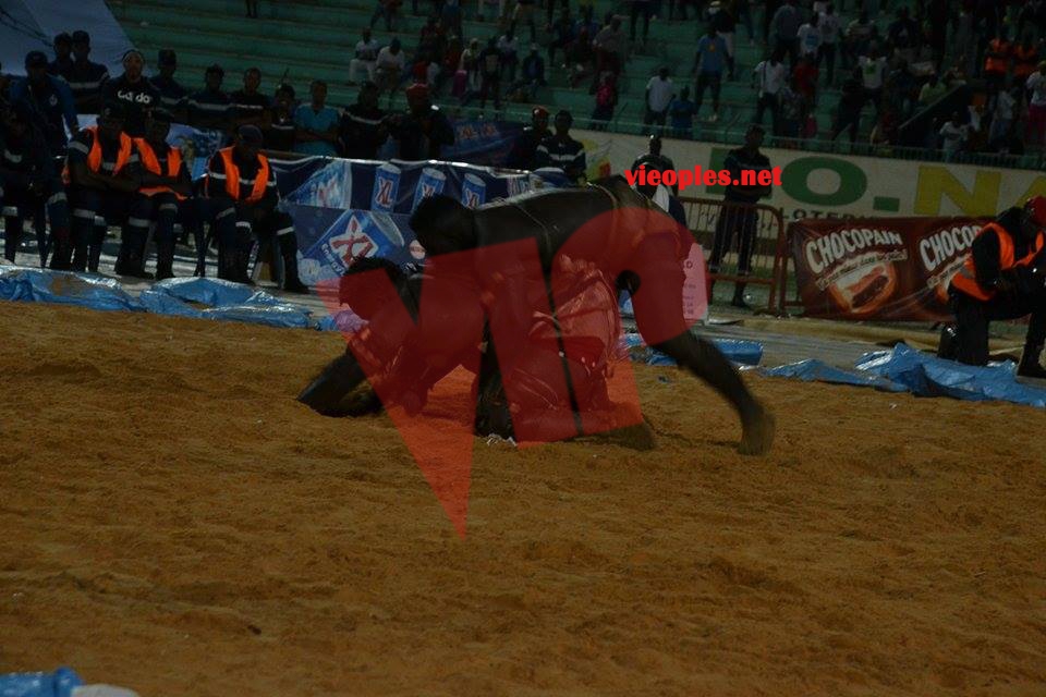 17858000_349489868780416_1456745848_n