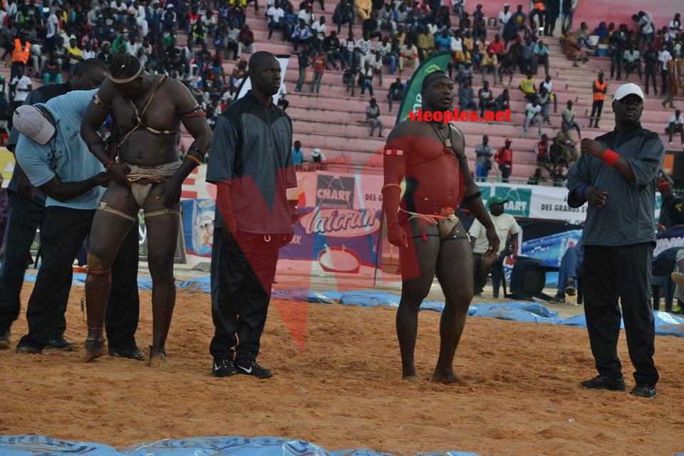 17858078_349496448779758_1027066904_n