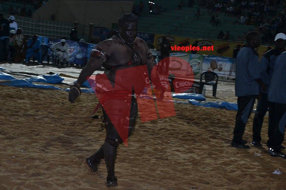 17888305_349493225446747_280724147_n