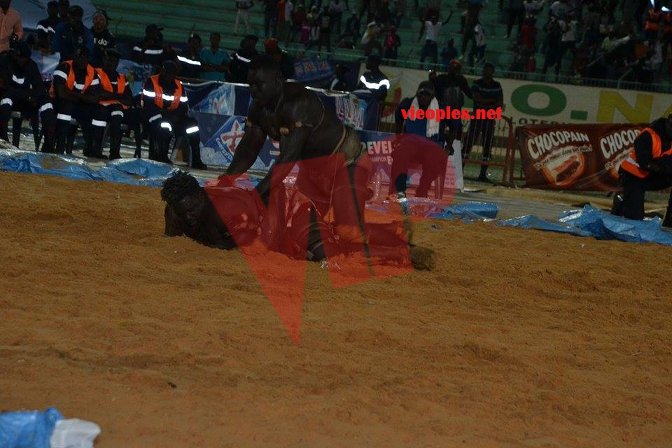 17842270_349489468780456_828781566_n