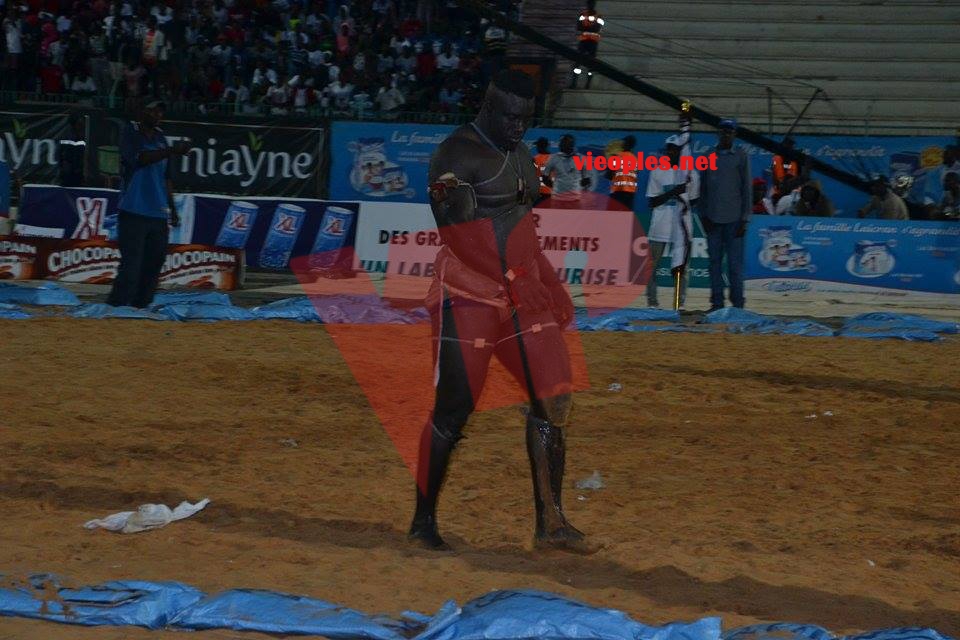 17888939_349496142113122_478886328_n