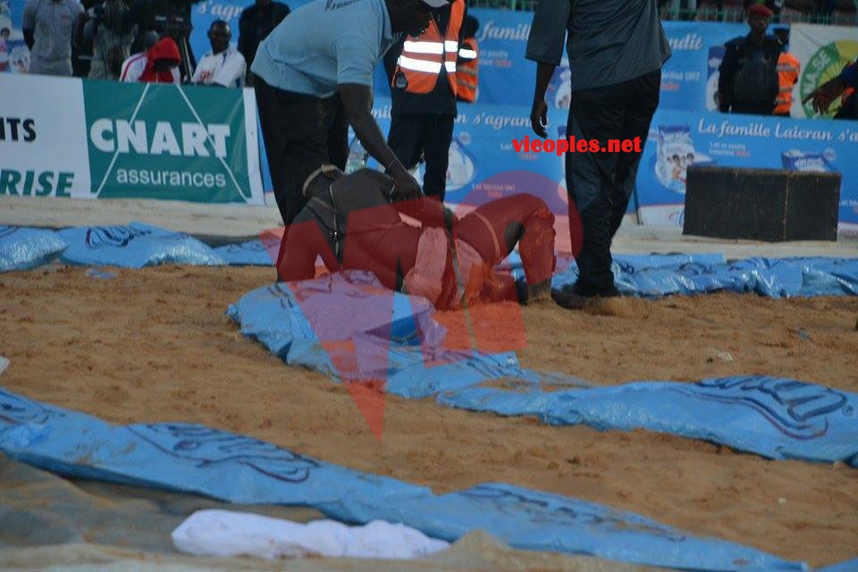 17821513_349496335446436_698445621_n