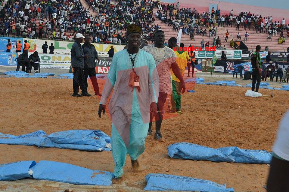 17841541_349496545446415_663145528_n