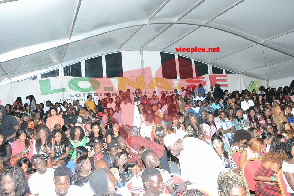 18254158_360142934381776_617924786_n