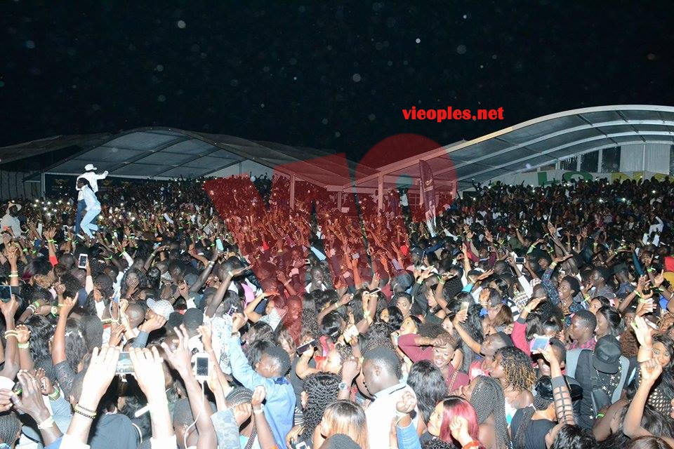 18217599_360142584381811_612814209_n