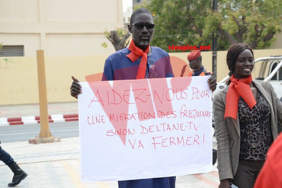 18308889_361639404232129_390728228_n