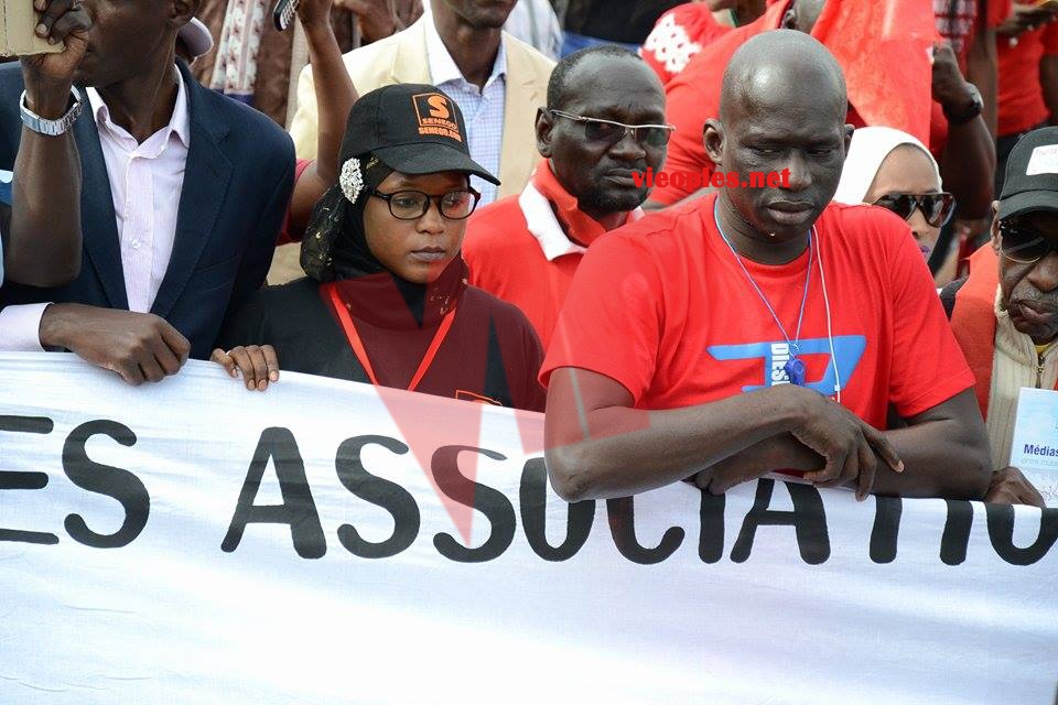 18254443_361636667565736_1332180882_n