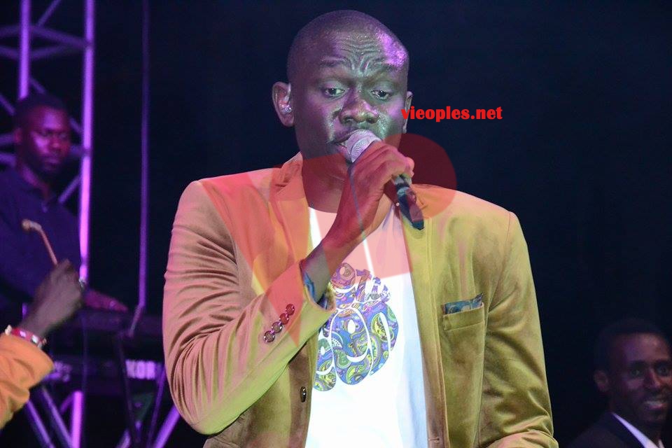 18337385_363021427427260_434056503_n