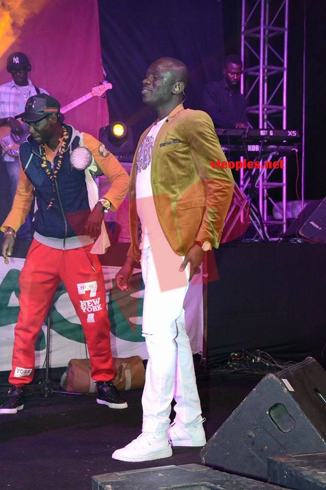 18337183_363021440760592_1172533793_n