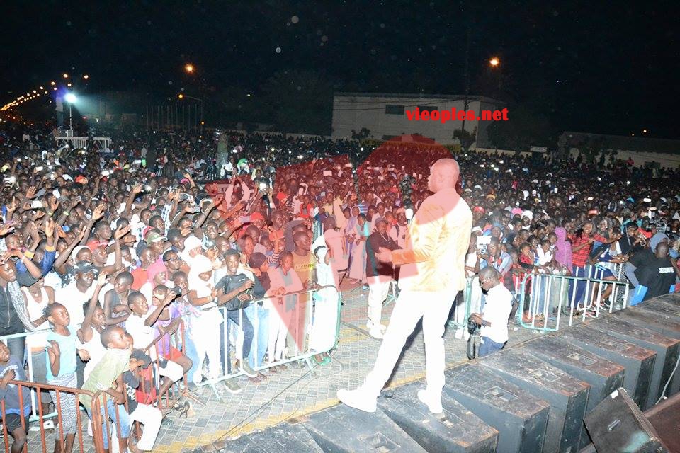 18337044_363022497427153_796342067_n