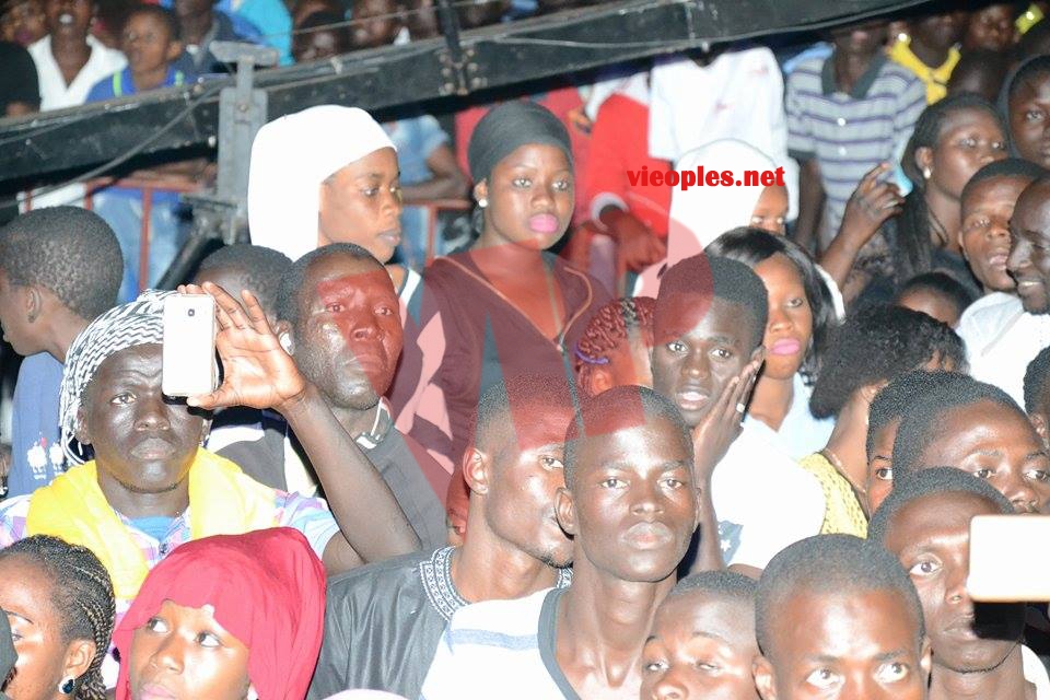 18336836_363022160760520_89396025_n