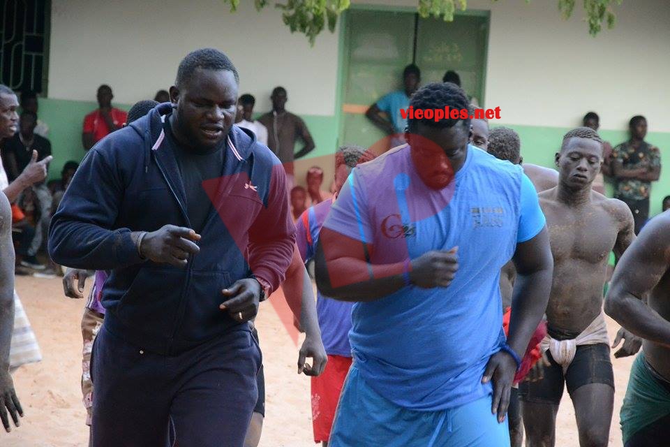 18554430_367615056967897_1966200724_n