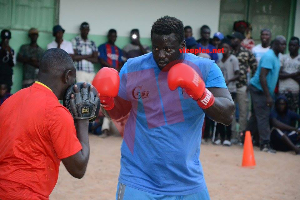 18555323_367614536967949_1191014905_n