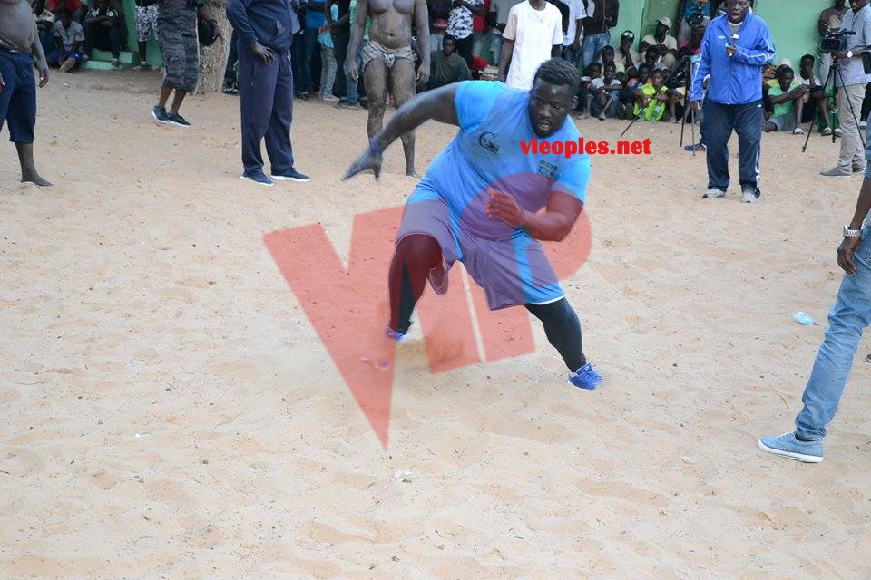 18518817_367614810301255_893188079_n