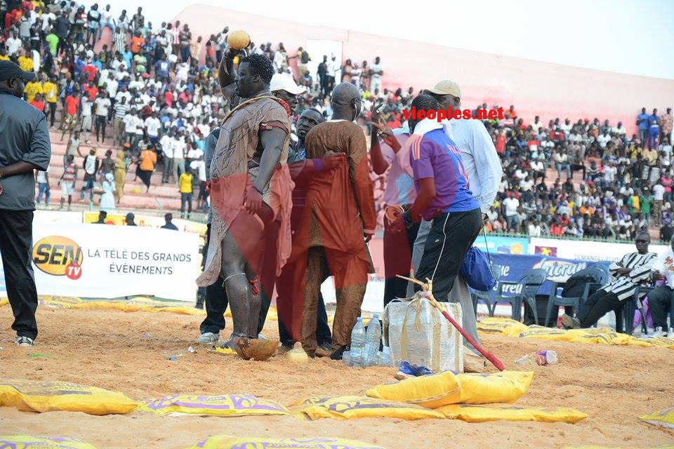 18624587_369230290139707_1980468716_n