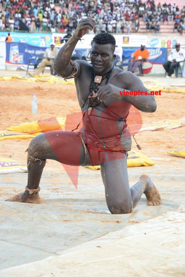 18624878_369230410139695_241507102_n