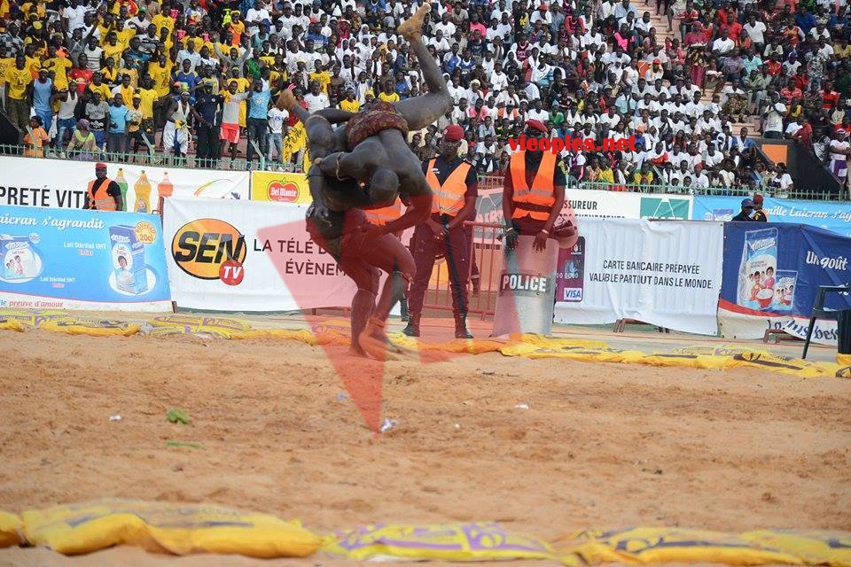 18622955_369230526806350_2045368456_n