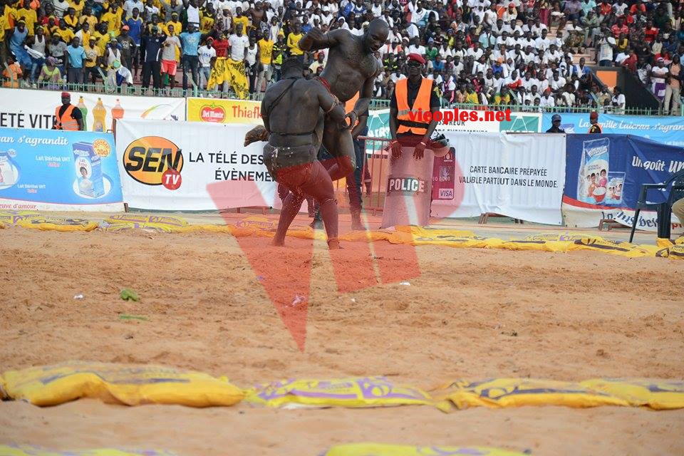 18643486_369230643473005_1001211321_n