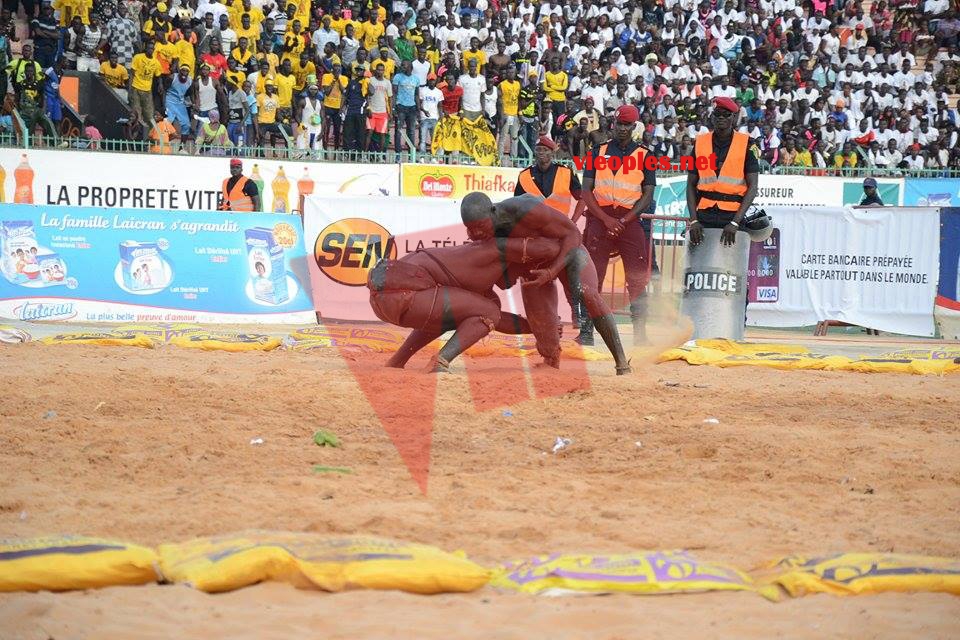 18622939_369230703472999_1149951381_n