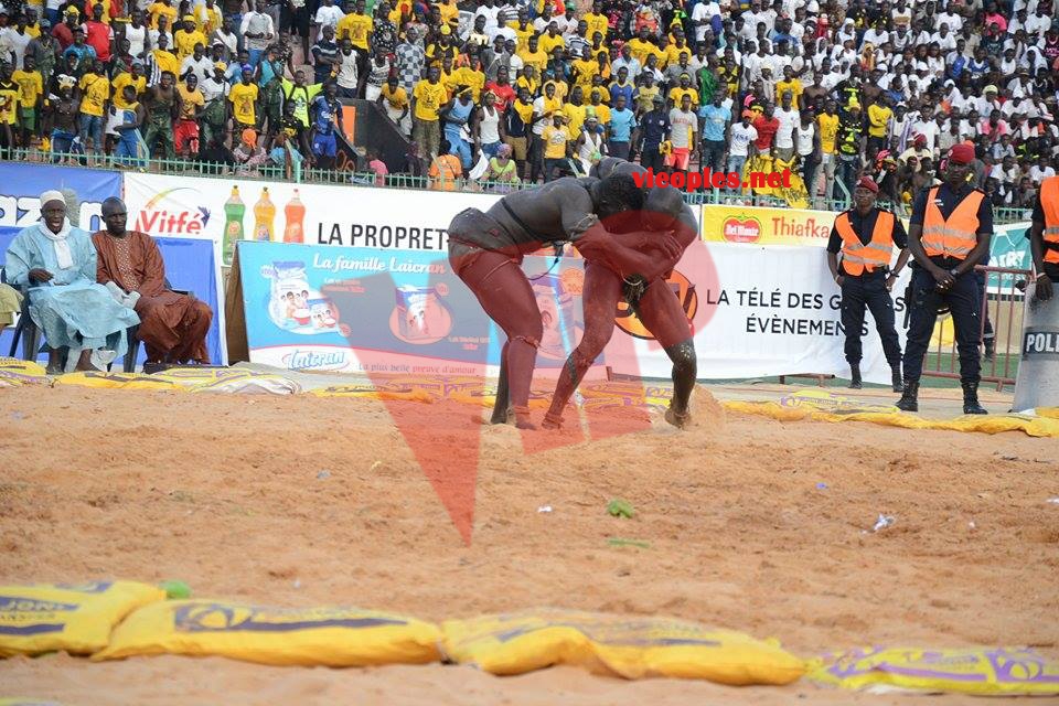 18623072_369230790139657_370624437_n