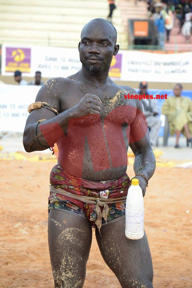 18644382_369231353472934_412877883_n