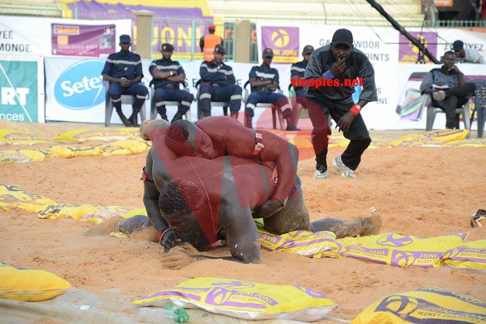 18624550_369234846805918_1395346858_n